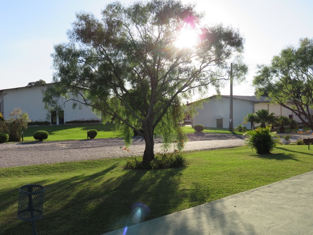 Jardim arborizado ao lado das construções da chácara